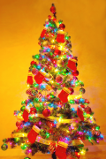 julgran 43 lista